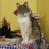 Отзыв от Эльмира Калугина
